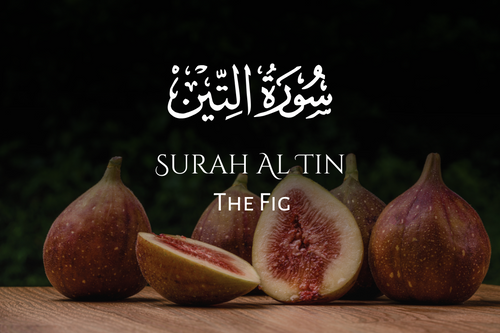 Surah Al Tin: The Fig