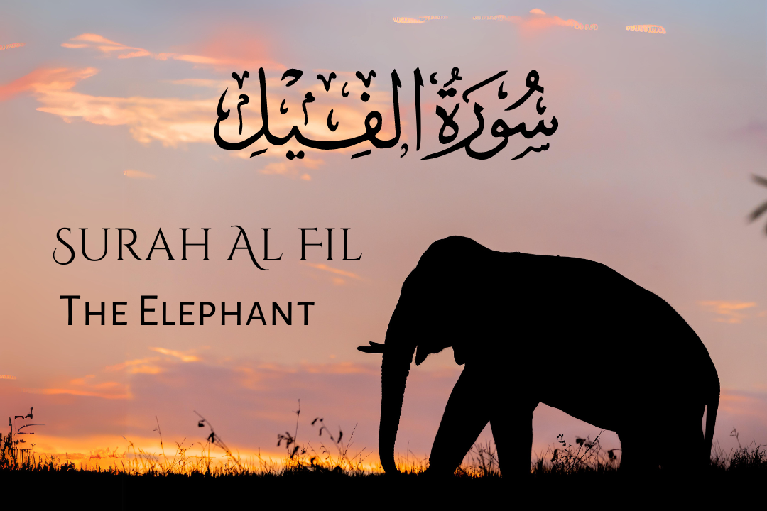 Surah Al Fil: The Elephant